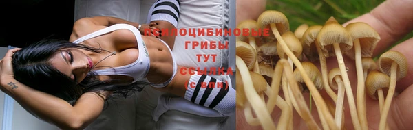 спиды Балабаново