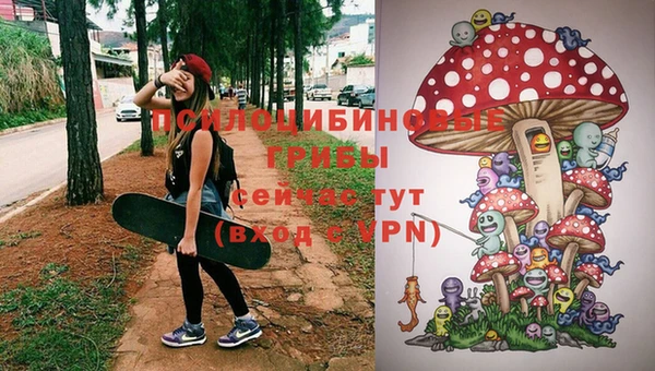 mdpv Баксан