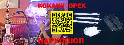 спиды Кингисепп