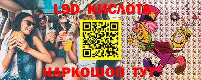спиды Кингисепп