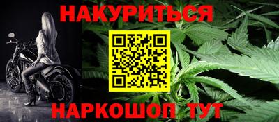 спиды Кингисепп