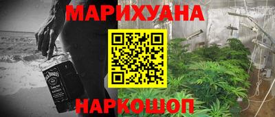 спиды Кингисепп