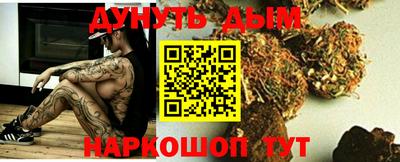 спиды Кингисепп