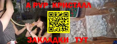 спиды Кингисепп