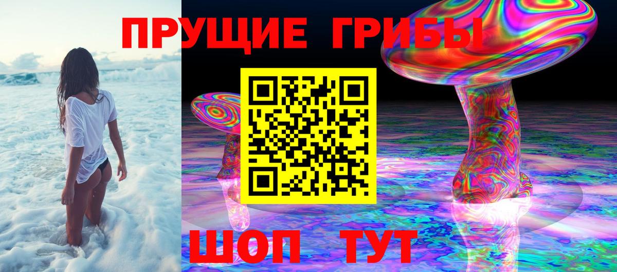 Ульяновск  Псилоцибиновые грибы Psilocybine cubensis  Вход с VPN 