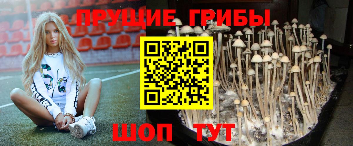Псилоцибиновые грибы Magic Shrooms Ульяновск